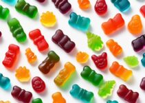 Why Choose Vegan Cbd Gummies? Explore Varieties